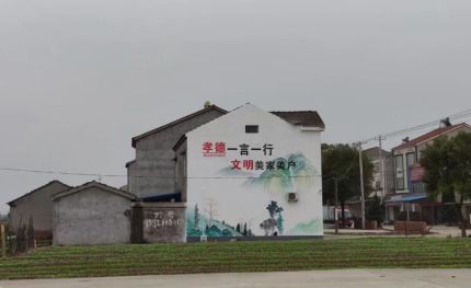 肥西新农村墙绘